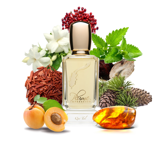 Plume Impression Que Tal EDP 80 ML